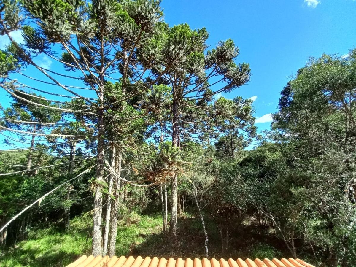 Cabana Na Floresta Rincao Do Fortaleza Cambará Ngoại thất bức ảnh